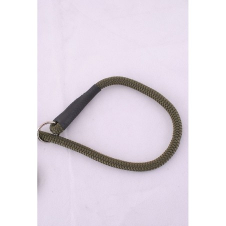 Laisse collier 1m